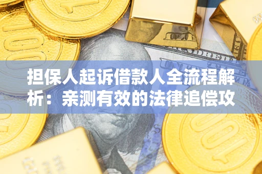 武汉担保人起诉借款人全流程解析：亲测有效的法律追偿攻略