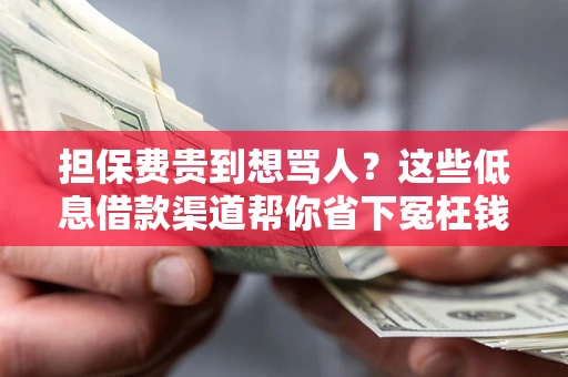 武汉担保费贵到想骂人？这些低息借款渠道帮你省下冤枉钱