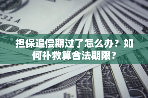 武汉担保追偿期过了怎么办？如何补救算合法期限？