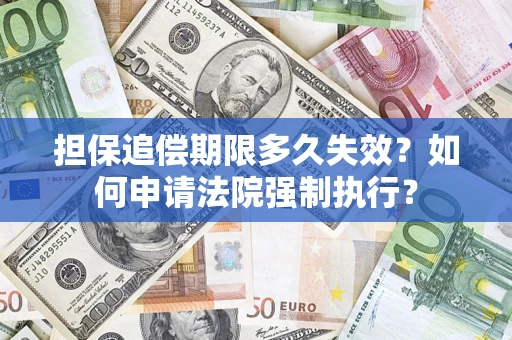 武汉担保追偿期限多久失效？如何申请法院强制执行？