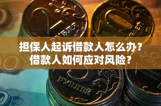 武汉担保人起诉借款人怎么办？借款人如何应对风险？