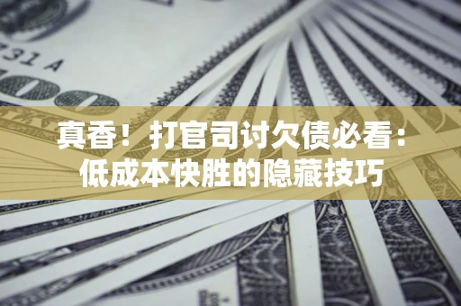 武汉真香！打官司讨欠债必看：低成本快胜的隐藏技巧