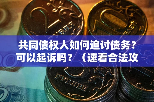 武汉共同债权人如何追讨债务？可以起诉吗？（速看合法攻略）