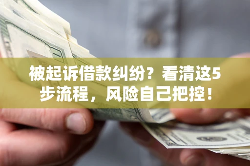 武汉被起诉借款纠纷？看清这5步流程，风险自己把控！